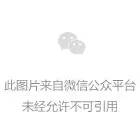 用精品連接客戶 | 西林叉車閃耀LogiMAT China 2024(圖1)